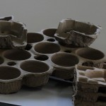 Molded Pulp Trays & Casings