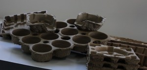 Molded Pulp Trays & Casings